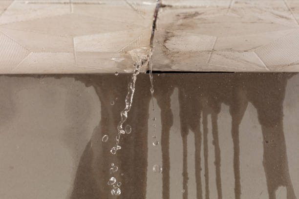 Professional Sewage Cleanup technician working in Palisades, NY